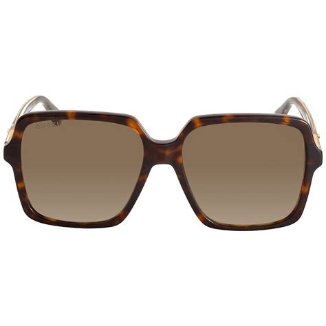 Gucci Brown Square Ladies Sunglasses GG0375S 002 56